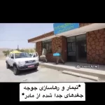 ویدئویی دیدنی: آزادی چهار جغد شاخدار در دل طبیعت زیبای چهارمحال و بختیاری