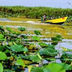 مازندران، بهشتی بکر برای عاشقان طبیعت؛ جاذبه‌ای شگفت‌انگیز در آخرین روزهای تابستان