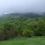 پیش‌بینی شگفت‌انگیز: باران‌های پاییزی در راه مازندران! 🌧️🍂