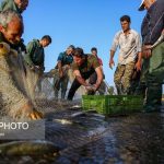 <p><strong>کاهش نگران‌کننده‌ی تراز آب دریای خزر: تبعات تغییر اقلیم برای ایران و جهان چیست؟</strong></p>