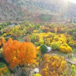 بهشت گمشده شیراز (تنگ بُستانک)؛ جایی که طبیعت هنرنمایی می‌کند