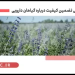 نکات ایمنی در مورد مصرف گیاهان دارویی + ویدئو