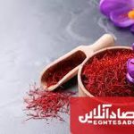 رشد ۵۰ درصدی تولید زعفران در آذربایجان شرقی؛ ۴۲۵ هکتار زیرکشت