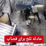 پرتاب مرد قصاب به هوا بر اثر لگد سهمگین گاو در کشتارگاه! + ویدئو