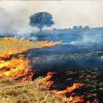 حریق وحشتناک در اراضی پلدختر + ویدئو