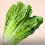 مغز کاهو خوردنی است یا خیر؟