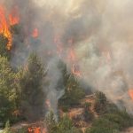 در آتش سوختن فلسطین اشغالی