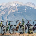 دوچرخه تابستانی چند؟ + راهنمایی و قیمت – تجارت نیوز