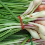 5 کاربرد جالب برگ موسیر در آشپزی سنتی و مدرن