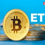 رشد ۷۶ درصدی جریان ورودی به صندوق‌های ETF بیت کوین در ماه می / رکورد جدید قیمت بیت کوین