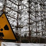 دانشمندان از تکامل عجیب و مرموز سگ‌های چرنوبیل خبر می‌دهند