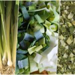 چگونه تره فرنگی تازه را در کمترین زمان خشک کنیم؟ چگونه تره فرنگی تازه را در کمترین زمان خشک کنیم؟