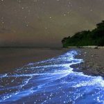 جاهای دیدنی هنگام در بازدید از جزیره کجاست؟ • مجله تصویر زندگی