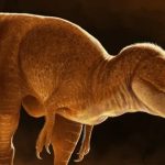 شاهزاده اژدها؛ با جد ترسناک دایناسور تی رکس آشنا شوید