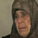 «هجده هزار پا» اکران آنلاین می‌شود – تجارت نیوز