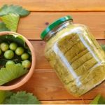 طرز تهیه ترشی برگ مو+ نکات کپک نزدن