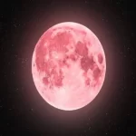 ماه توت فرنگی را چگونه ببینیم؟ + راهنما – تجارت نیوز