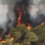 آتش‌سوزی گسترده در جنگل گلستان محدوده خراسان‌ شمالی – تجارت نیوز