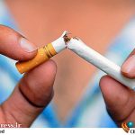 «ساترا» از شکایتهای صورت گرفته توسط «جمعیت مبارزه با استعمال دخانیات» و پیگیری آنها در «محاکم قضایی» اعلام آمادگی میکند – اخبار سینمای ایران و جهان «ساترا» از شکایتهای صورت گرفته توسط «جمعیت مبارزه با استعمال دخانیات» و پیگیری آنها در «محاکم قضایی» اعلام آمادگی میکند – اخبار سینمای ایران و جهان