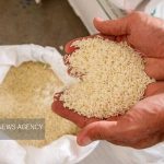 اعلام قیمت مصوب برنج در بازار