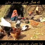 زندگی عجیب زنی با ۵ شوهرش / او به دنبال ازدواج با مرد ششم است + فیلم