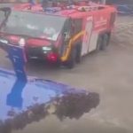 تاخیر در پرواز هواپیما توسط زنبورها / فیلم