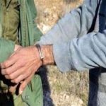 بز وحشی در میبد از مرگ نجات یافت