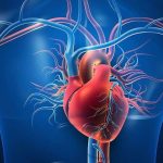 تضمین سلامت قلب به کمک این ۳ ویتامین