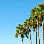 دمای پنج شهر به بالای ۵۰ درجه رسید