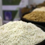 دلیل اصلی گرانی‌ برنج در ماه های اخیر چیست؟