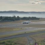 لحظه برخورد هواپیما با سه گوزن هنگام فرود در فرودگاه + فیلم