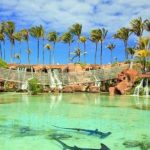 «رسانه ملی» به سراغ جذب توریسم و تبلیغ گردشگری برای «جزایر کشور باهاما» میرود! – اخبار سینمای ایران و جهان «رسانه ملی» به سراغ جذب توریسم و تبلیغ گردشگری برای «جزایر کشور باهاما» میرود! – اخبار سینمای ایران و جهان