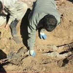 لحظه پیداشدن پیکر یک دانش‌آموز شهید + فیلم