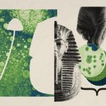 کپکی که باعث مرگ باستان‌ شناسان شد، حالا می‌تواند سرطان خون را درمان کند