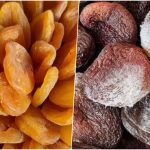 علت کپک زدن برگه زردآلو+ روش‌های جلوگیری از آن