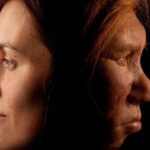 اگر نئاندرتال‌ها منقرض نشده بودند، امروز چه شکلی بودند؟