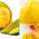 ۸ خواص باورنکردنی پوست انبه که شما را شگفتزده خواهد کرد ۸ خواص باورنکردنی پوست انبه که شما را شگفتزده خواهد کرد