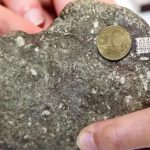 راز «میکروچیپ ۲۵۰ میلیون ساله» روسیه فاش شد: حقیقت شگفت‌انگیزتر است