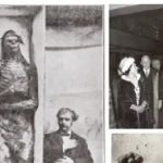 اسکلت‌هایی با قد ۲.۷ متر؛ آیا غول‌ها واقعاً در آمریکا زندگی می‌کردند؟