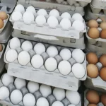 تولید تخم مرغ شهریور به ۱۱۵ هزارتن می‌رسد