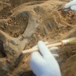 کشف یک دایناسور مرموز هم‌اندازه سگ در آمریکا!