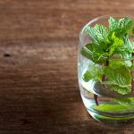 روش کاشت نعناع در آب؛ روشی جذاب برای پرورش نعناع در خانه