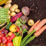 چگونه با ته‌ مانده سبزیجات در خانه سبزی بکاریم؟ (راهنمای گام‌ به ‌گام)