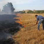 آتش‌زدن کاه و کلش مزارع گندم و جو ممنوع!