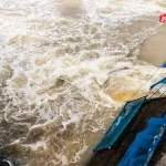 عربستان سعودی در مسیر تحول سبز / ساخت ۱۰۰۰ سد، کاشت ۱۰ میلیارد درخت و جهش در امنیت غذایی و منابع آب