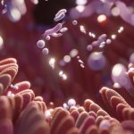 نقش میکروبیوم روده بر سلامت روان