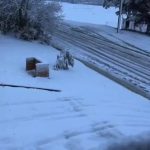 بارش برف شدید در استرالیا + فیلم