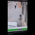 مرگ دلخراش زن عابرپیاده درپی سقوط دیوارهای خانه قدیمی + فیلم مرگ دلخراش زن عابرپیاده درپی سقوط دیوارهای خانه قدیمی + فیلم