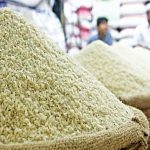 دلیل اصلی افزایش قیمت برنج در بازار چیست؟