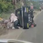 ویدئو دلخراش از لحظه واژگونی وانت مملو از زنان